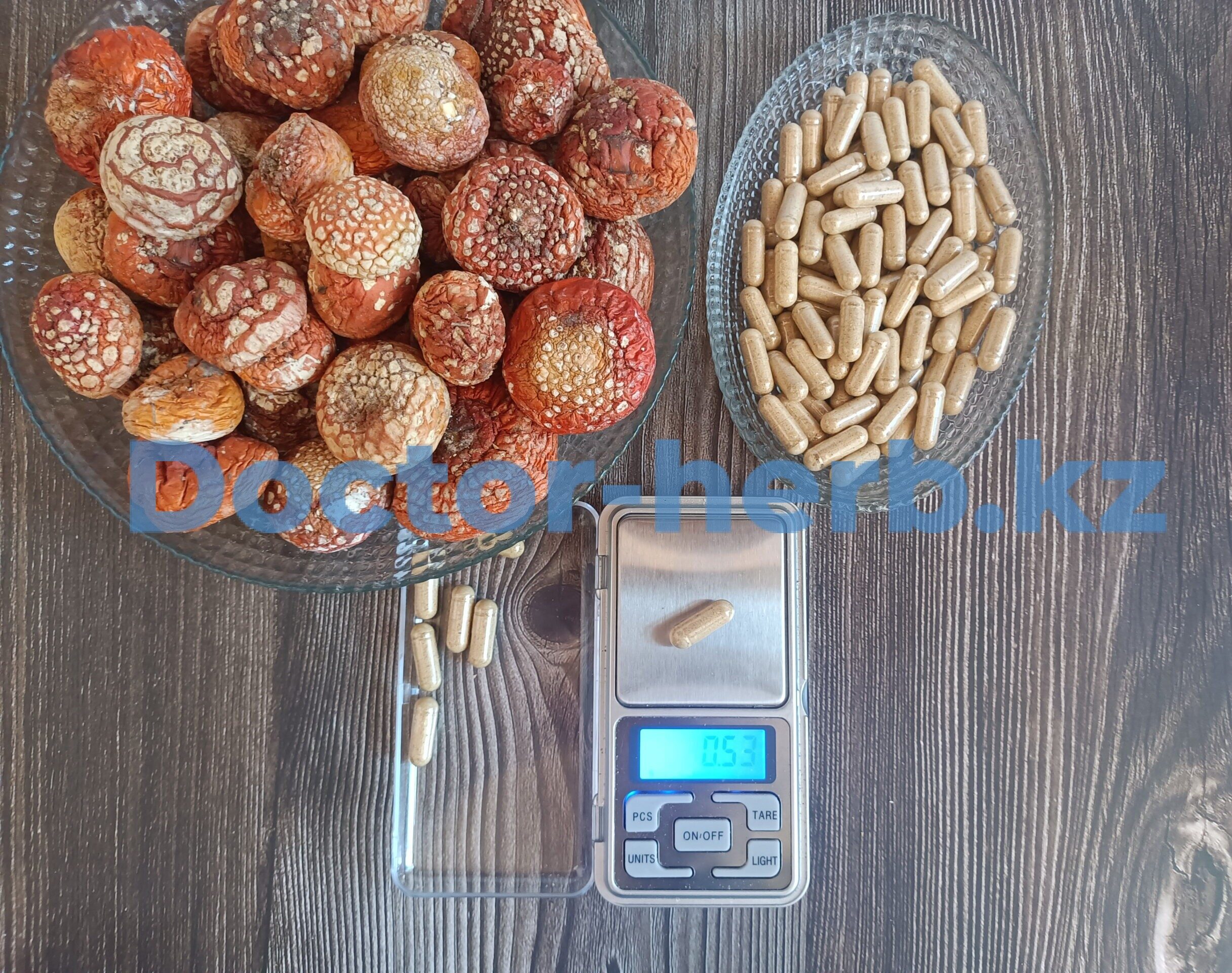 Красный Мухомор (Amanita Muscaria) в капсулах Микродозинг с доставкой по Казахстану Красный Мухомор (Amanita Muscaria) в капсулах Микродозинг