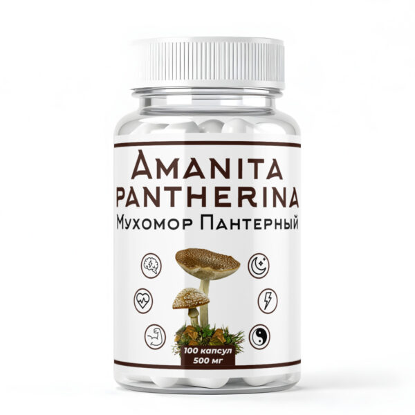 Мухомор Пантерный в капсулах
