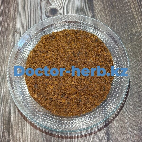 Чага Алтайская