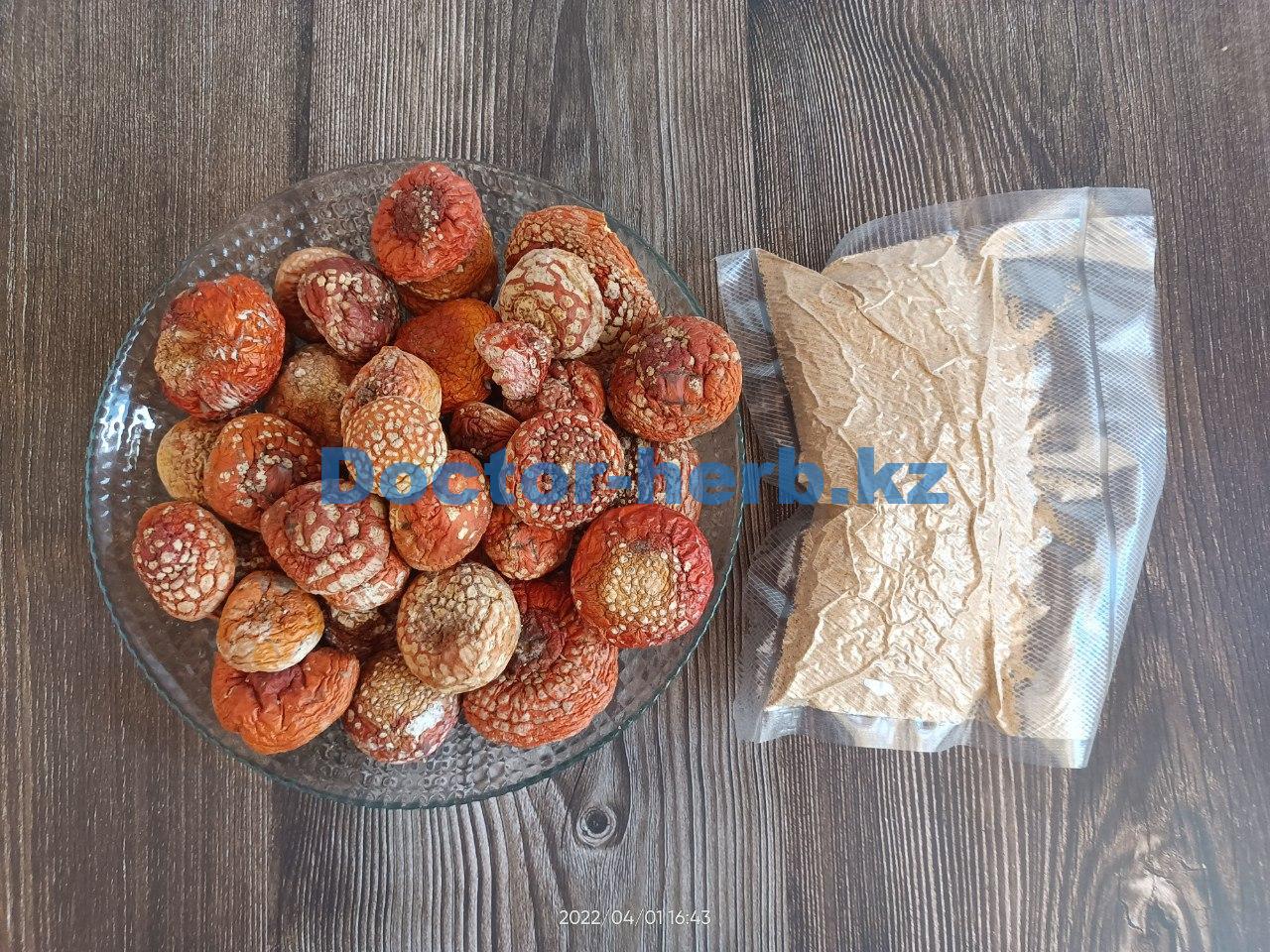 Шляпки Мухомора Красного (Amanita Muscaria) с доставкой по Казахстану. Шляпки Мухомора Красного (Amanita Muscaria) с доставкой по Казахстану.