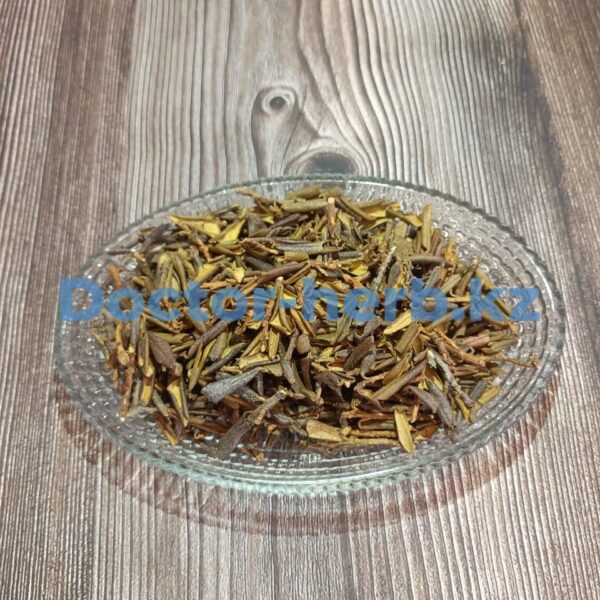 Саган Дайля (рододендрон Адамса)