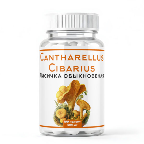 Лисичка в капсулах