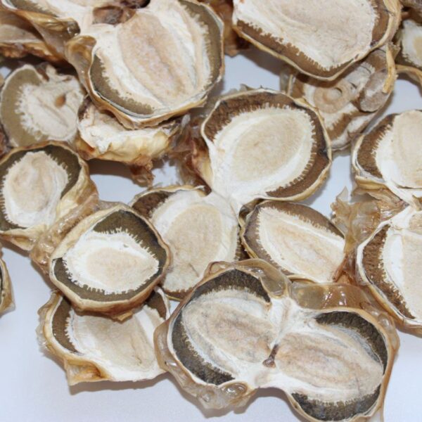 Весёлка обыкновенная