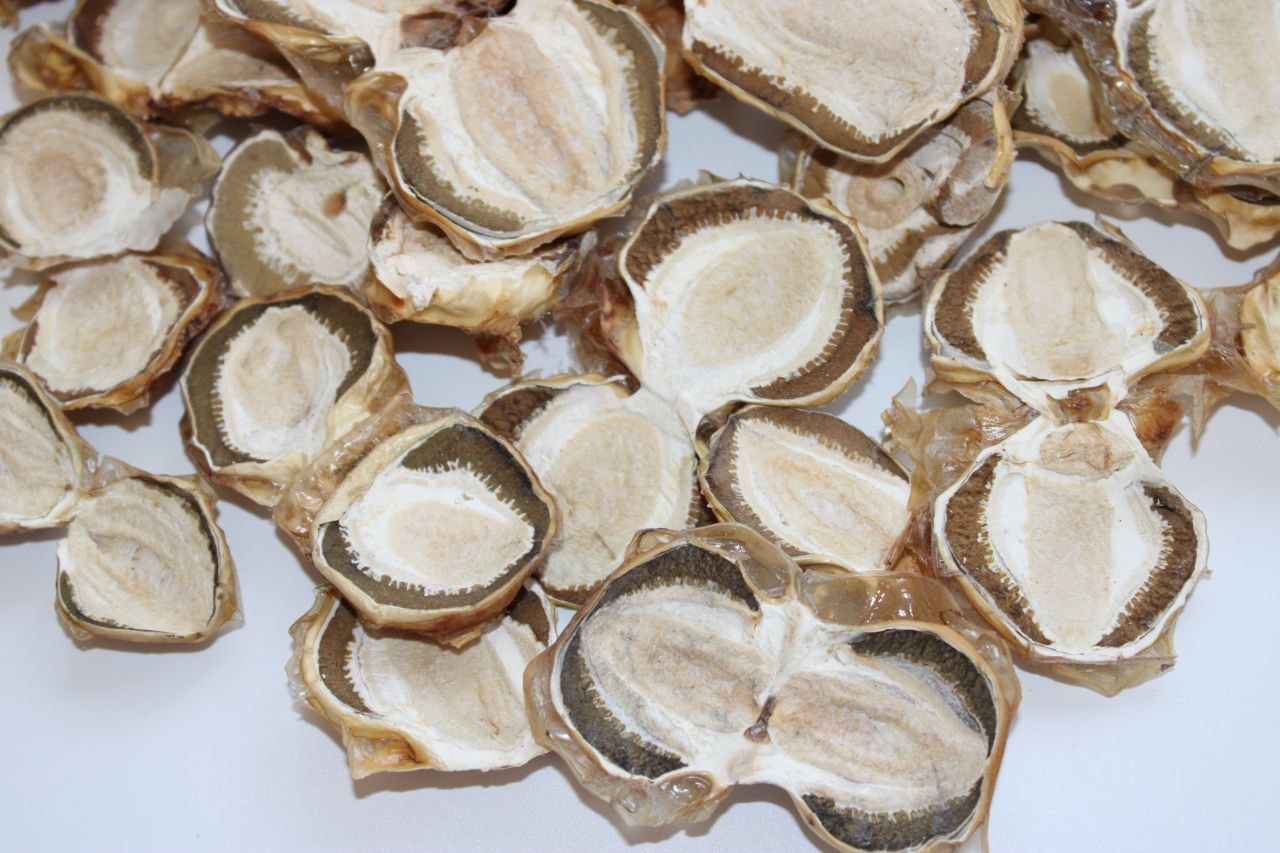 photo_2023-05-24_23-57-24 (2) Весёлка обыкновенная Гриб сушенная