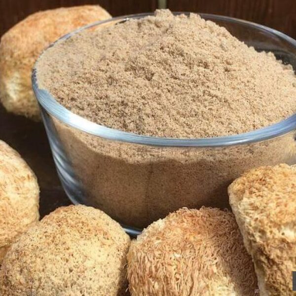 Мицелий Ежовика Гребенчатого