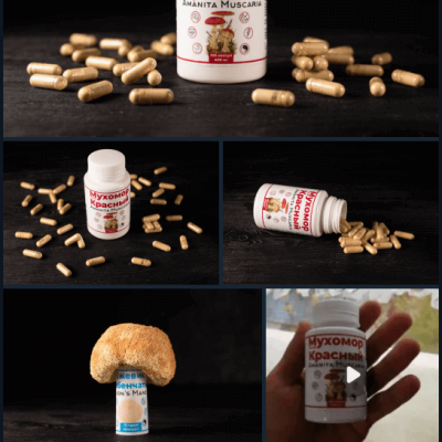 изображение_2022-12-05_230954742